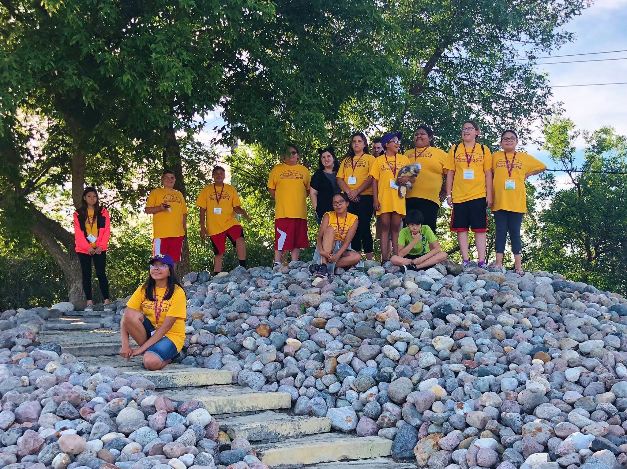 NTMS INSTEM Camp 2